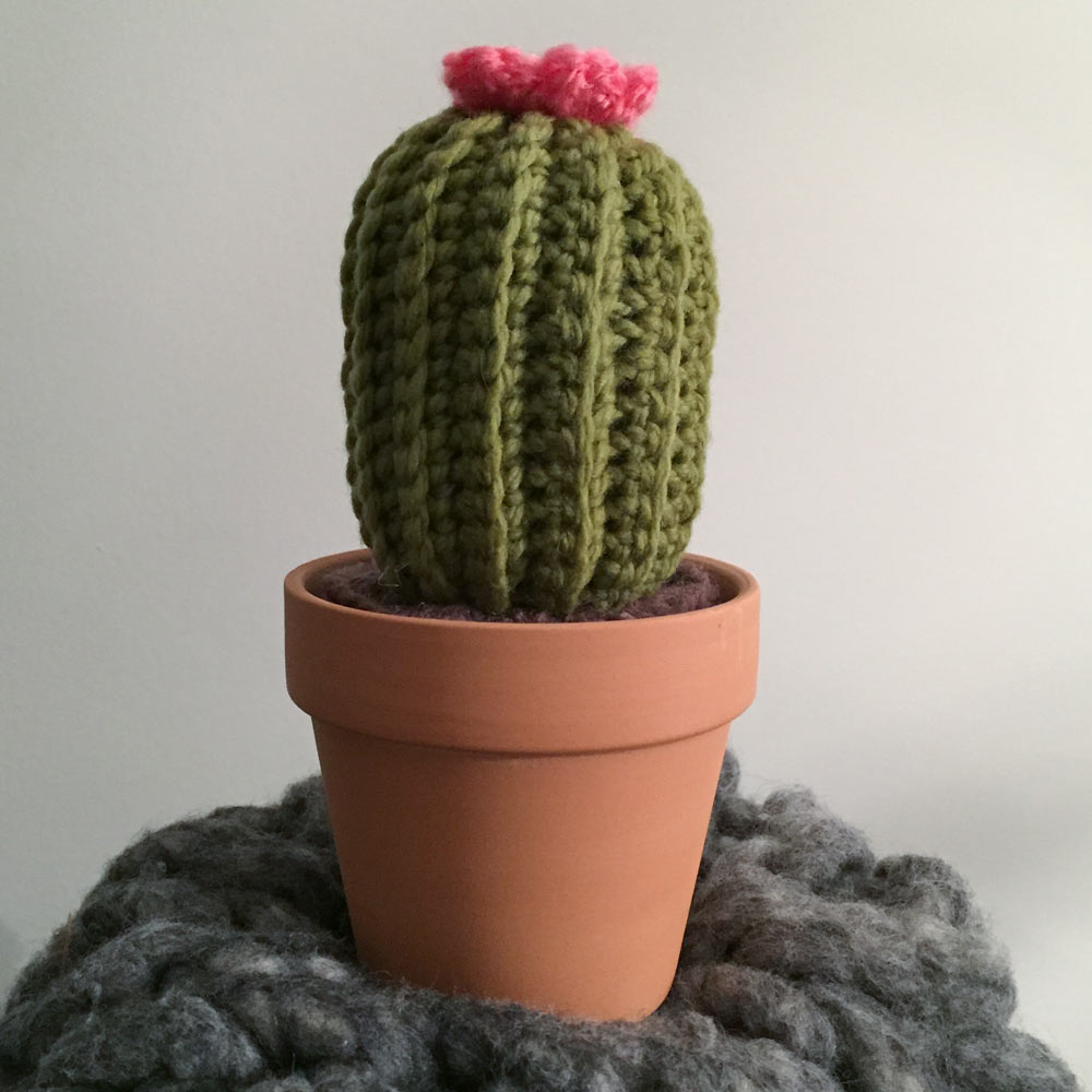 Crochet Cactus Amigurumi Pattern