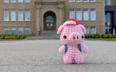 Schoolkid Pig Amigurumi Crochet Pattern