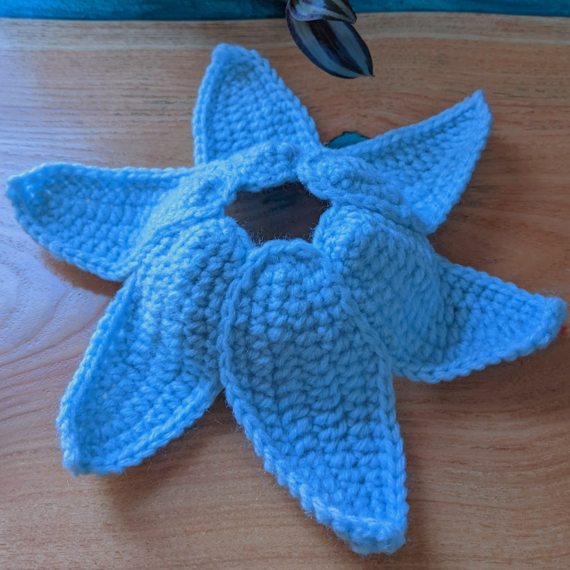 Crochet Flower Hat for your Pet(s) Pattern - Sir Purl Grey