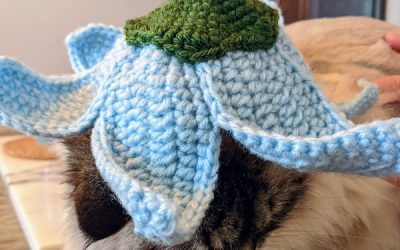 Crochet Flower Hat for your Pet(s) Pattern